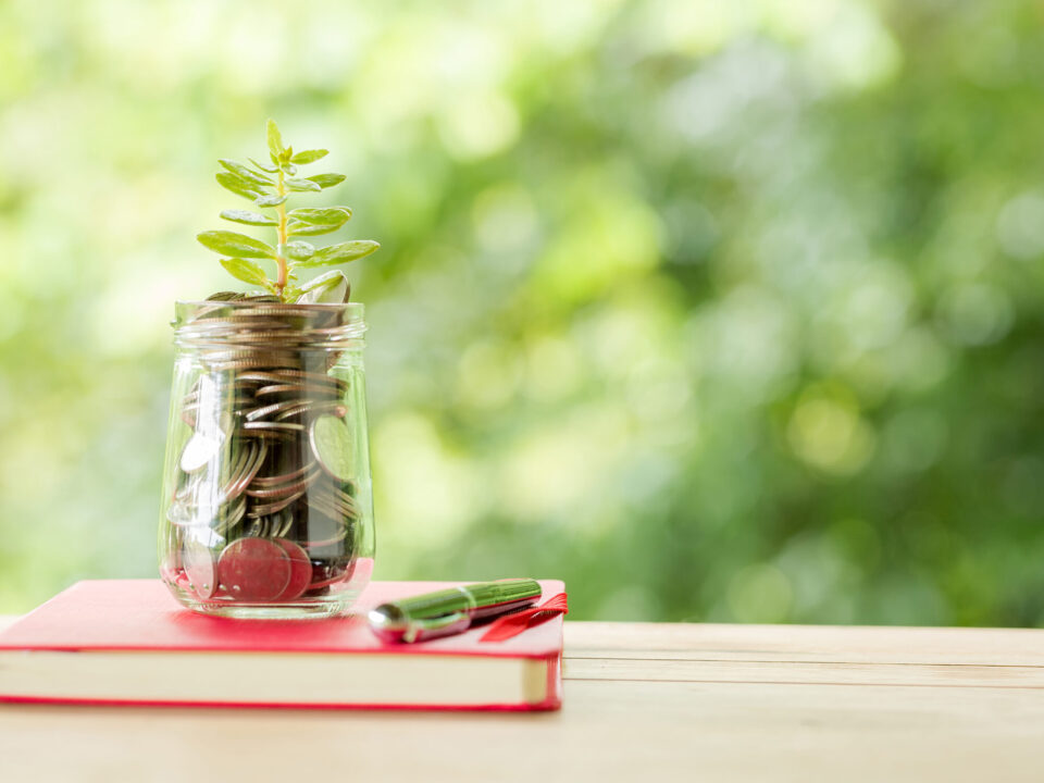 Plant Growing In Savings Coins